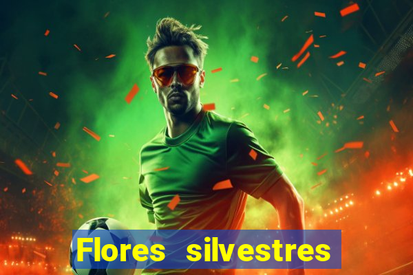 Flores silvestres brasileiras brasileiras flores silvestres nomes e imagens